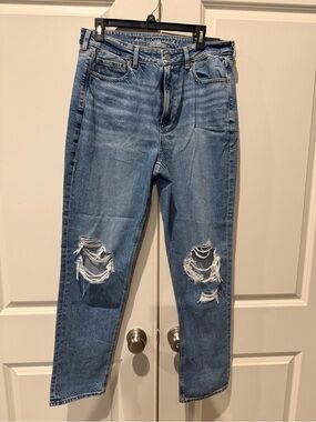 American Eagle Outfitters Strigid Mom Jeans with Knee Rips - Light Blue